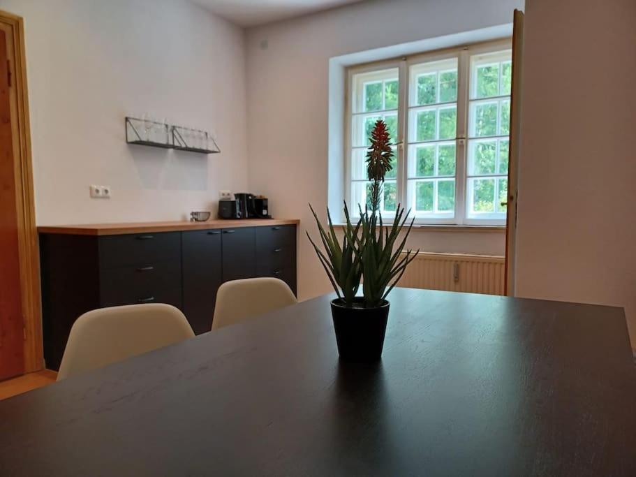 Ferienwohnung 'Bergidylle' - Zu Fuss Auf Die Loipe Und Den Berg, Nur Wenige Minuten Ins Skigebiet 贝里斯泽尔 外观 照片